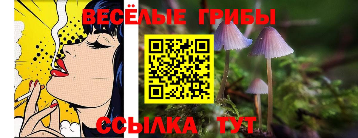 Галлюциногенные грибы ЛСД Сыктывкар
