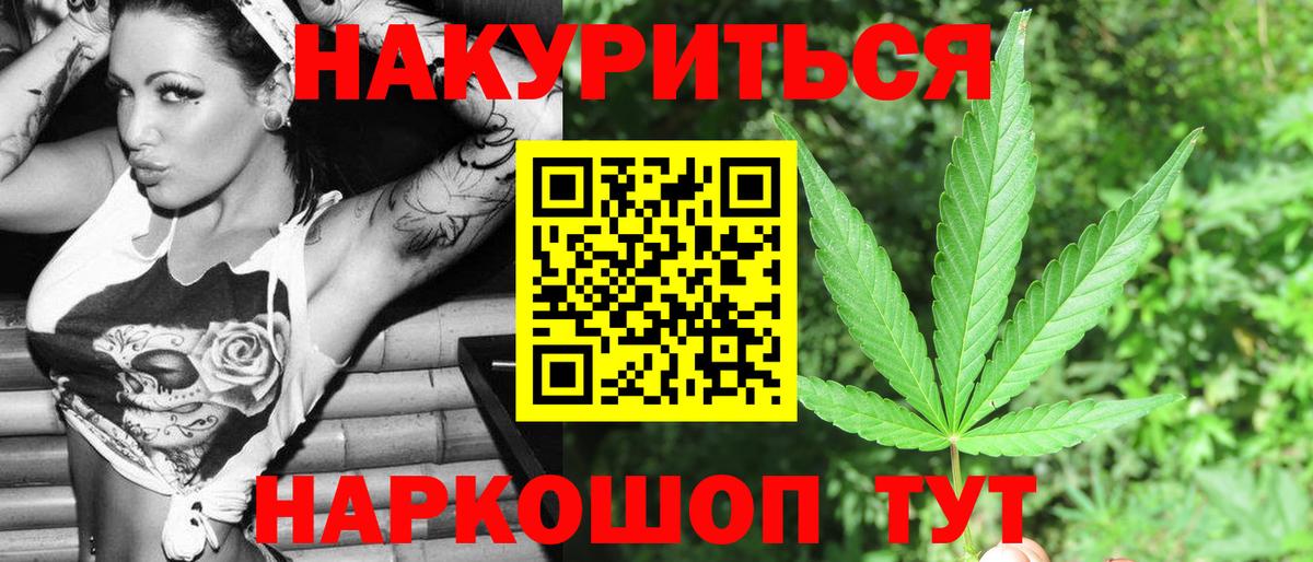 Бошки Шишки MAZAR Сыктывкар